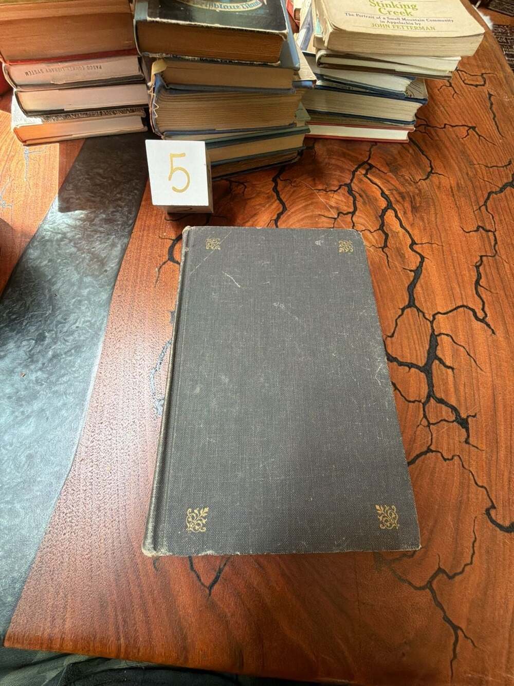 Mr. Clemens and Mark Twain: A Biography by Justin Kaplan (1966)